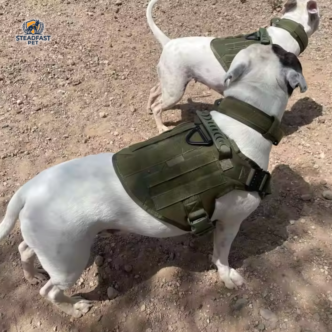 Steadfast™ Military Style Anti-Snatch Pet Leash with Handle