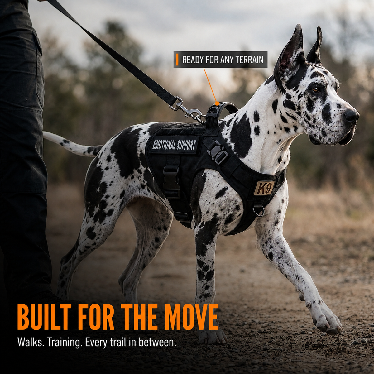 Steadfast™ Military Style Anti-Snatch Pet Leash with Handle