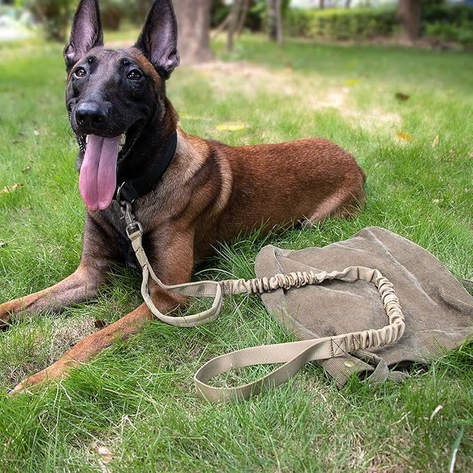 Steadfast™ Pet Tactical Collar with Control Handle — Heavy-Duty Collar for Large Dogs