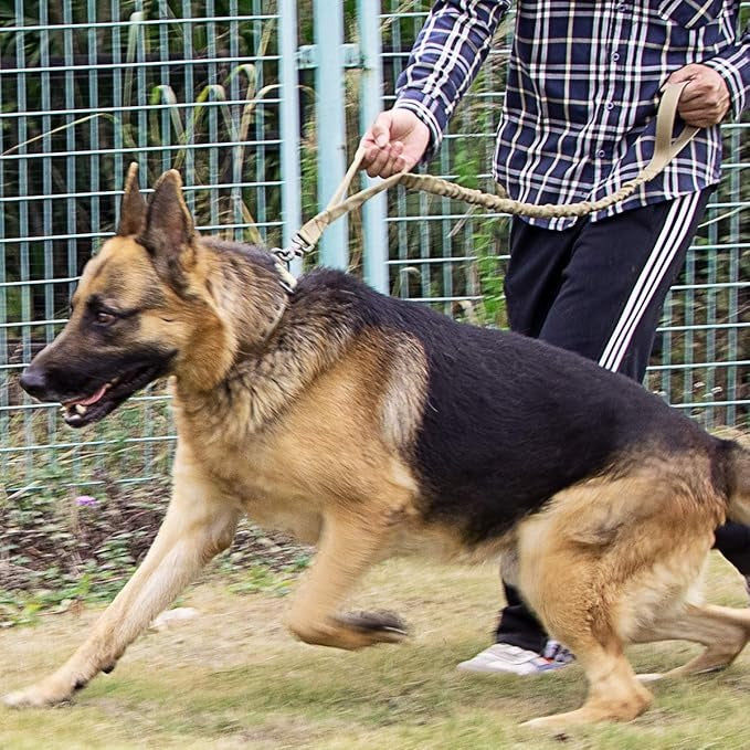 Steadfast™ Pet Tactical Collar with Control Handle — Heavy-Duty Collar for Large Dogs