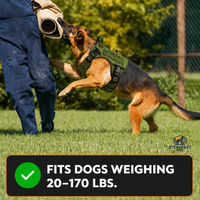 Steadfast™ Military Style Anti-Snatch Pet Leash with Handle