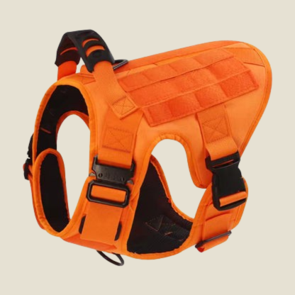 Steadfast™ Military Style Anti-Snatch Pet Leash with Handle
