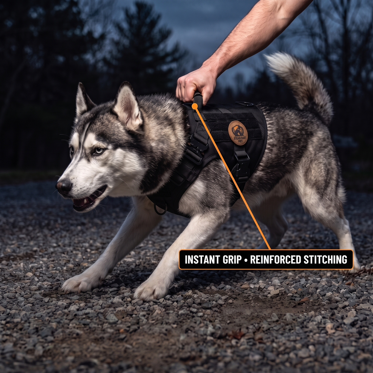 Steadfast™ Military Style Anti-Snatch Pet Leash with Handle